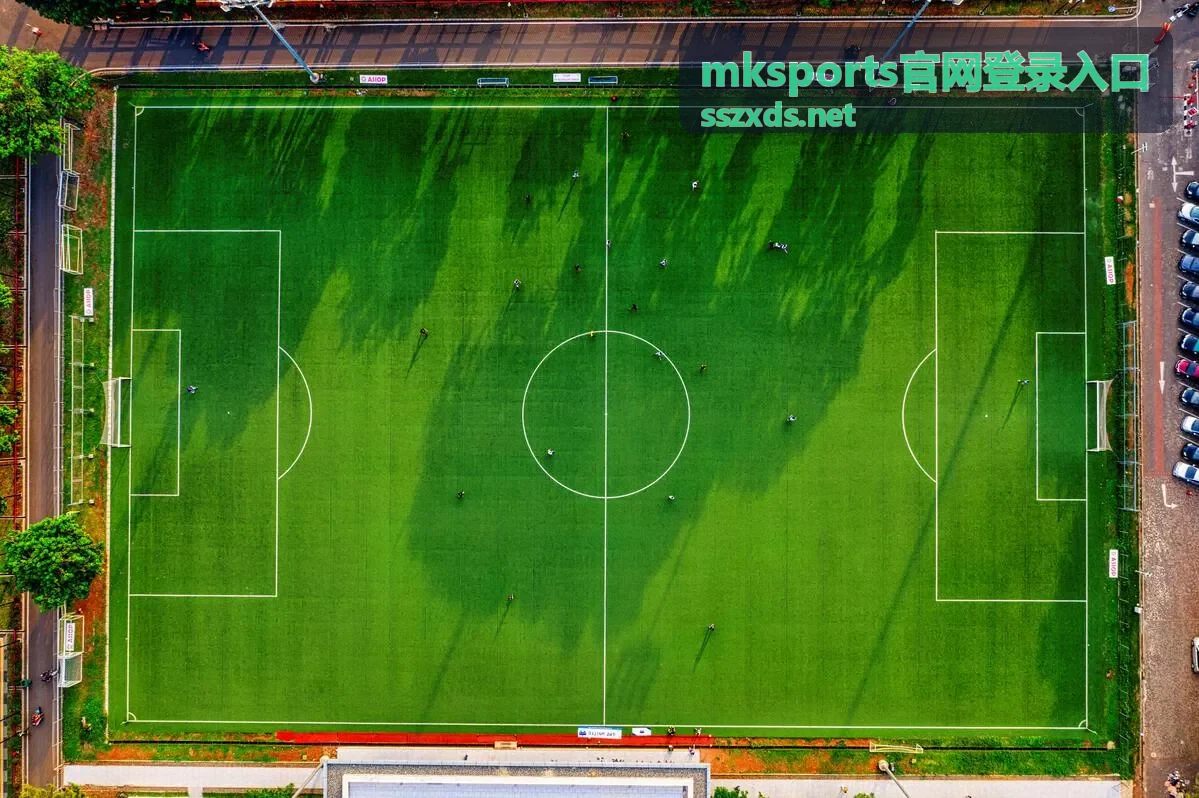 mksports官网登录入口登录入口指引页面主视觉