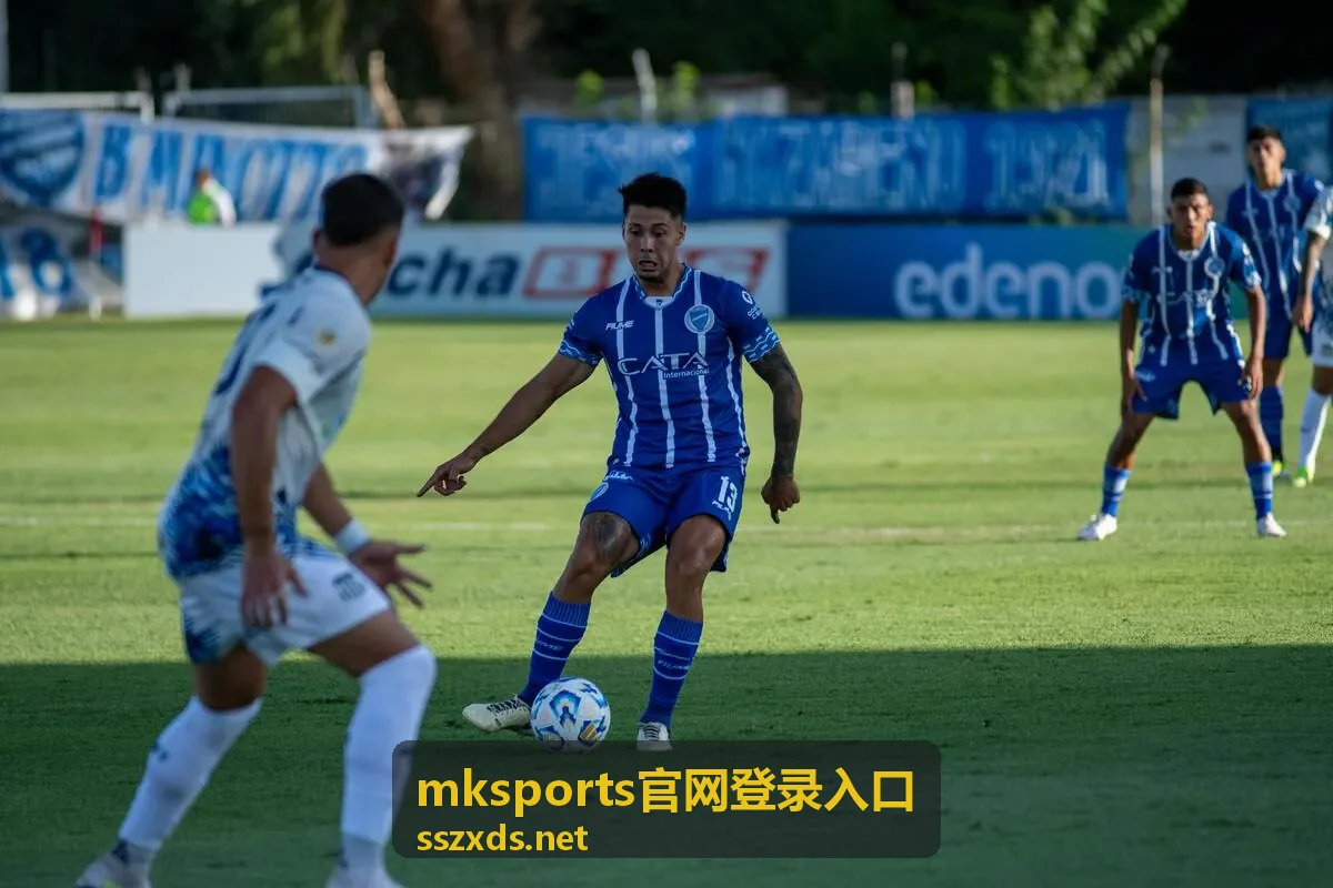 mksports官网登录入口进入流程示意图