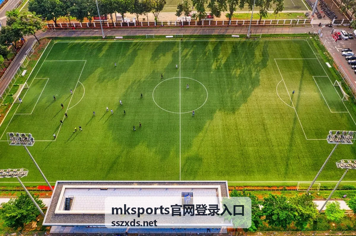 mksports官网登录入口验证码收不到时的处理说明