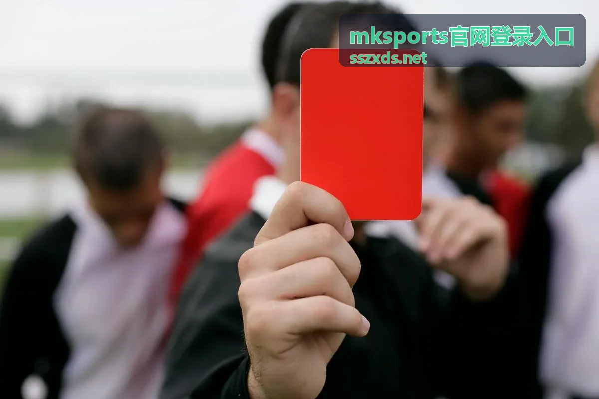 mksports官网登录入口页面加载异常排查配图