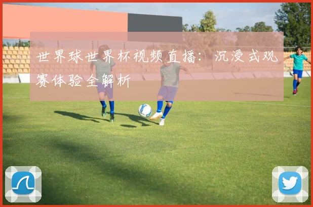 世界球世界杯视频直播：沉浸式观赛体验全解析