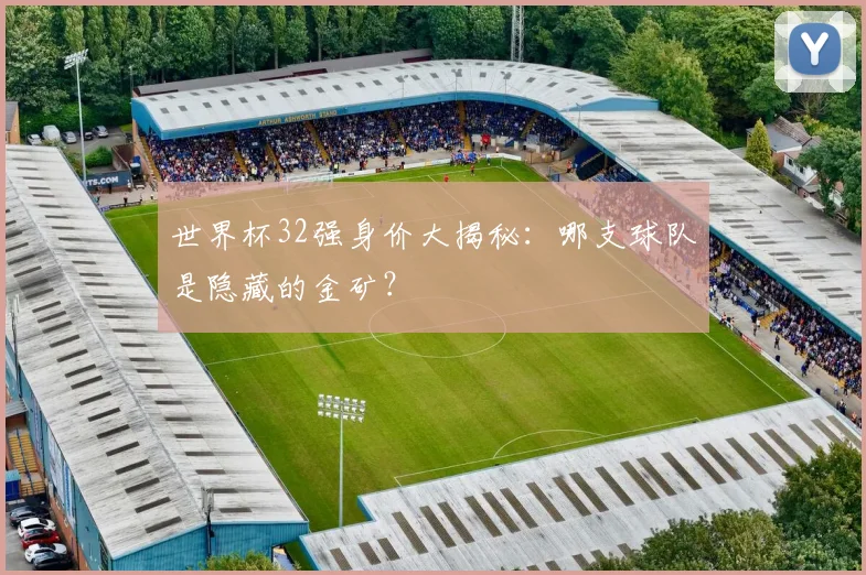 世界杯32强身价大揭秘:哪支球队是隐藏的金矿?