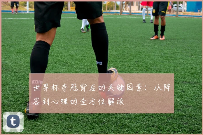 世界杯夺冠背后的关键因素:从阵容到心理的全方位解读