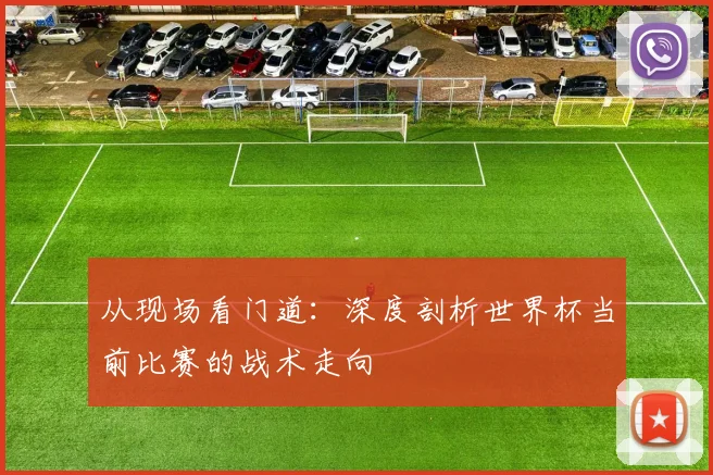 从现场看门道：深度剖析世界杯当前比赛的战术走向