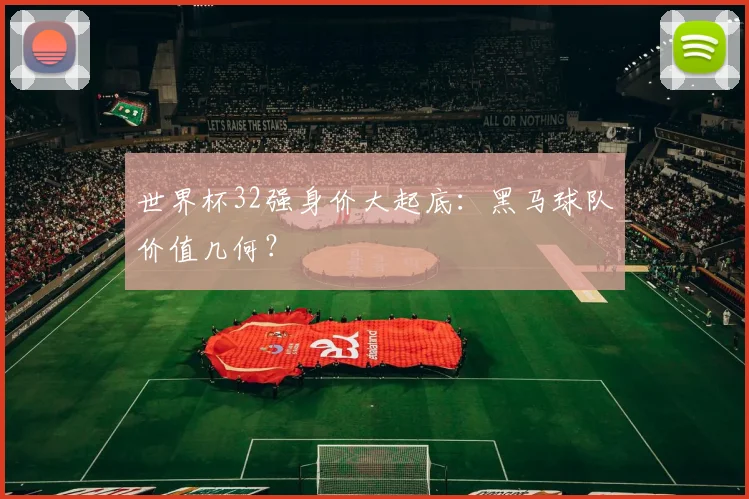 世界杯32强身价大起底：黑马球队价值几何？