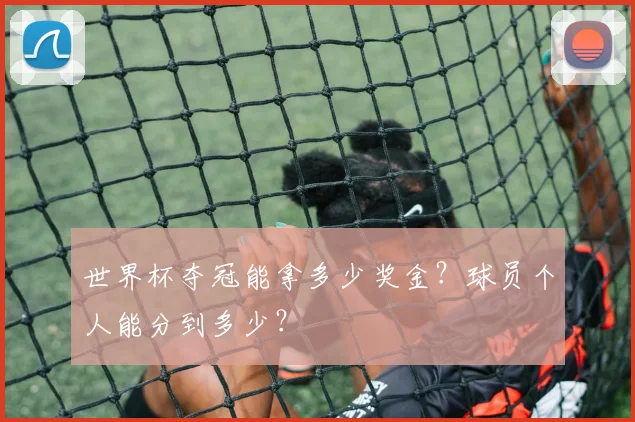 世界杯夺冠能拿多少奖金?球员个人能分到多少?