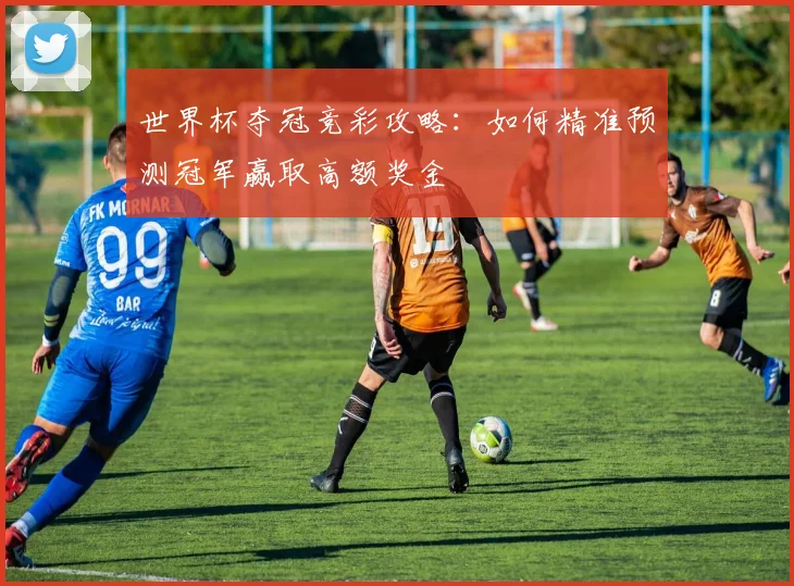 世界杯夺冠竞彩攻略：如何精准预测冠军赢取高额奖金